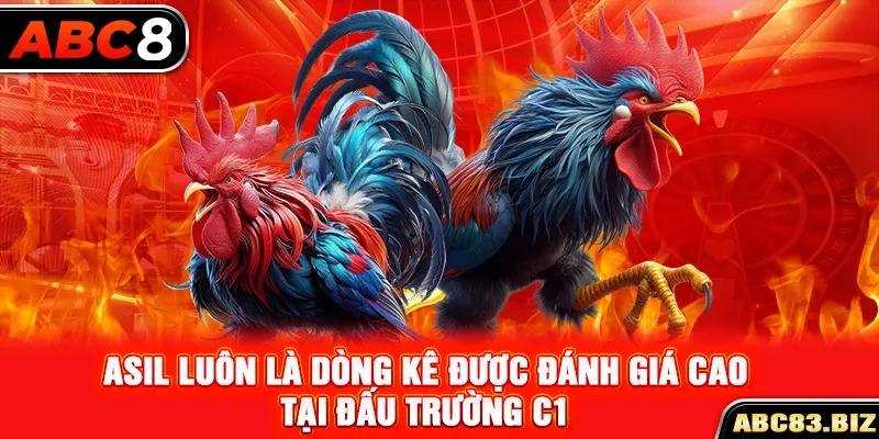 Asil luôn là dòng kê được đánh giá cao tại đấu trường C1