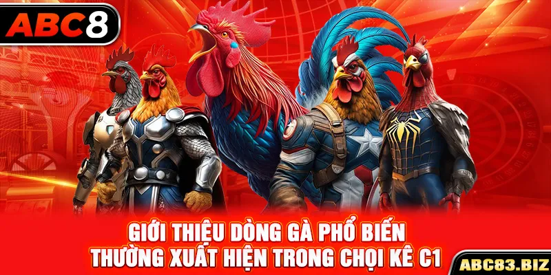 Giới thiệu dòng gà phổ biến thường xuất hiện trong chọi kê C1