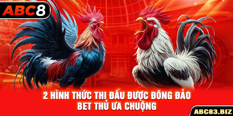 2 hình thức thi đấu được đông đảo bet thủ ưa chuộng