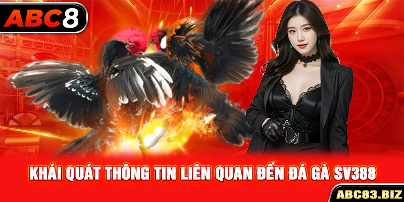 Khái quát thông tin liên quan đến đá gà SV388