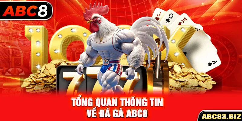 Tổng quan thông tin về đá gà ABC8