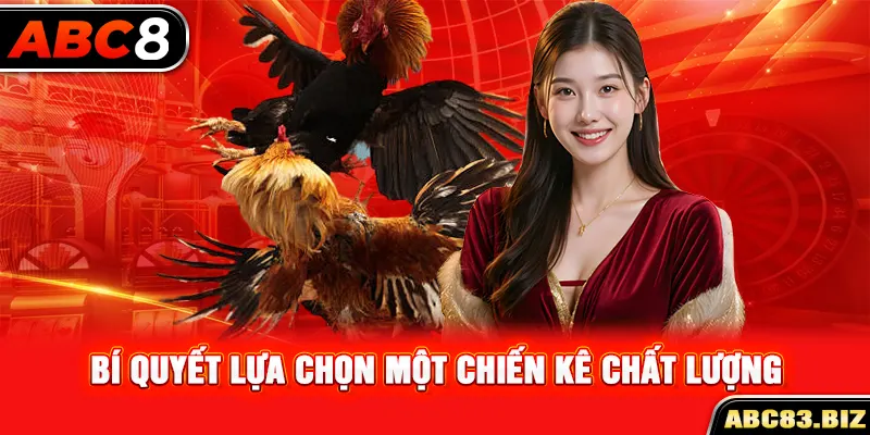 Bí quyết lựa chọn một chiến kê chất lượng