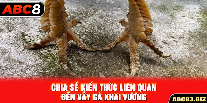 Chia sẻ kiến thức liên quan đến vảy gà khai vương