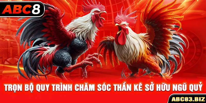 Trọn bộ quy trình chăm sóc thần kê sở hữu ngũ quỷ