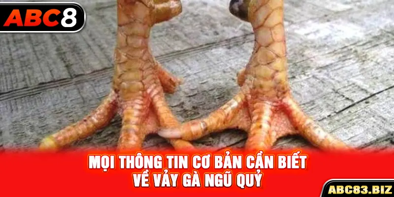 Mọi thông tin cơ bản cần biết về vảy gà ngũ quỷ