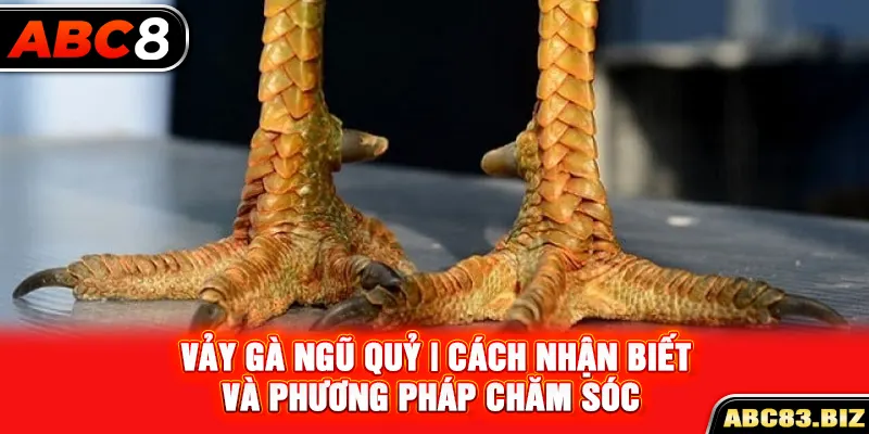 Vảy gà ngũ quỷ