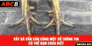 Vảy gà vấn cán